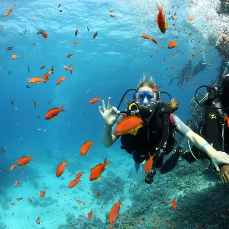 Try scuba diving – Aquarius Diving Club, Red Sea
