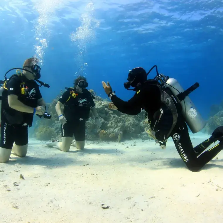 Learn to dive – Aquarius Diving Club, Red Sea