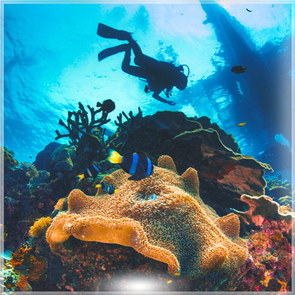 aquariushurghada