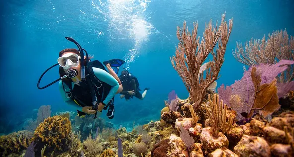 Upgrade to PADI Open Water Red Sea