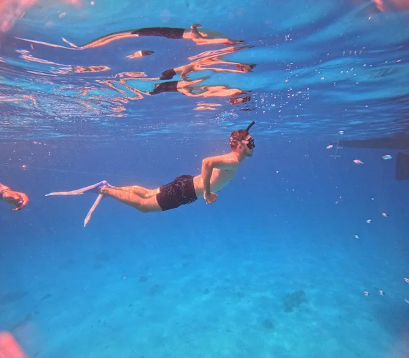 1 Day Snorkel Adult