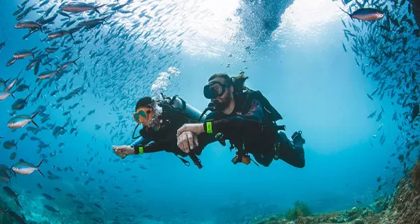 Beginner PADI Scuba Diver Aquarius Diving Club