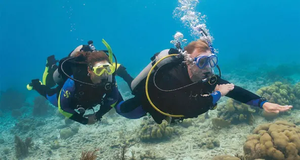 PADI Scuba Diver Course Red Sea