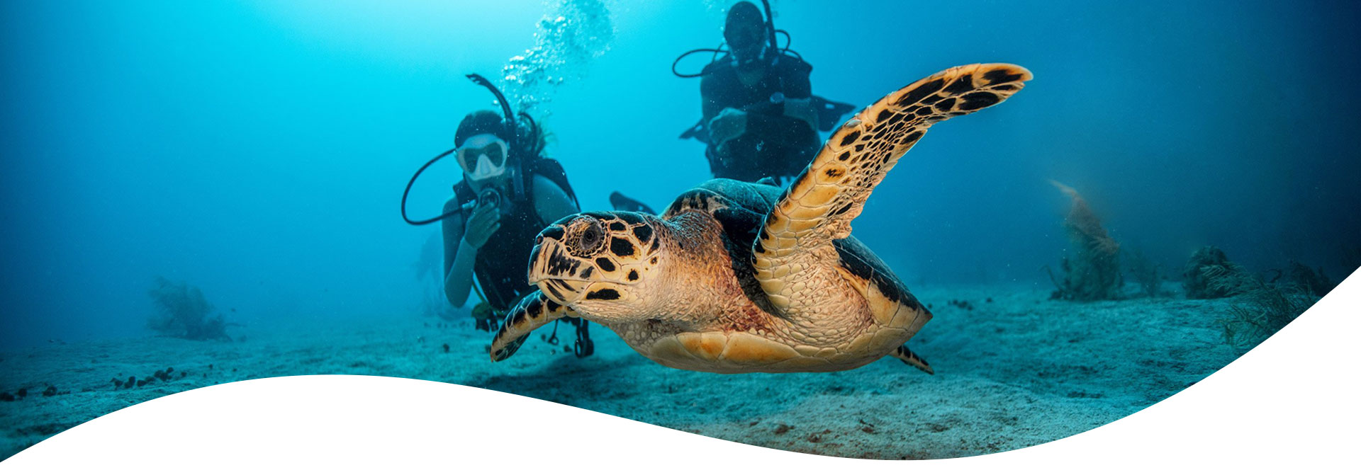 Aquarius Diving Club Hurghada