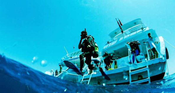 1 DAY DIVING (2 DIVES FROM THE BOAT) Aquarius